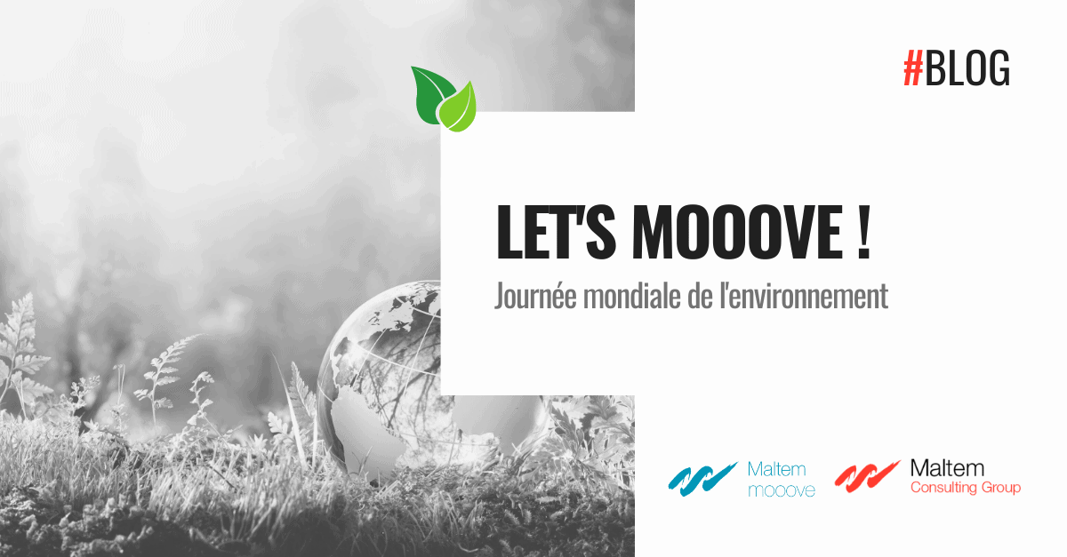 Let's Mooove journée environnement