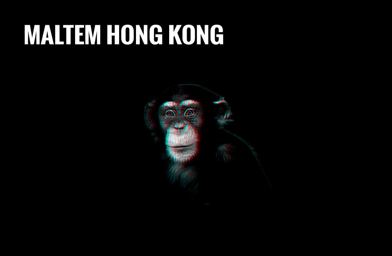Maltem hong kong écosystème