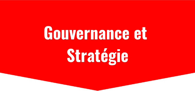 Gouvernance et Stratégie chez Maltem